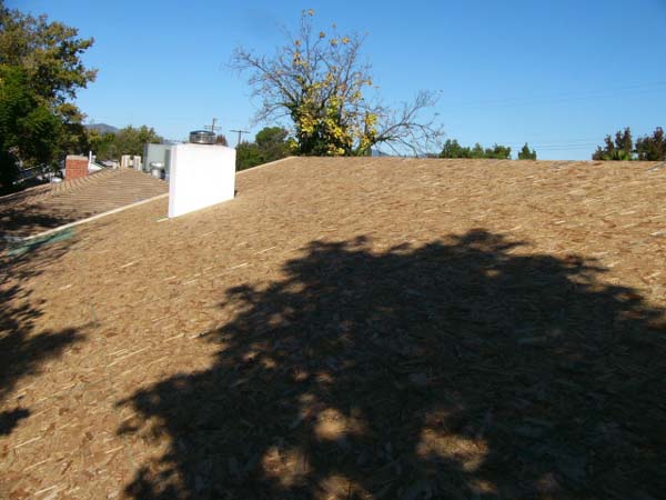 P1020458