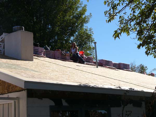 P1020504