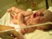 emerson_07152002